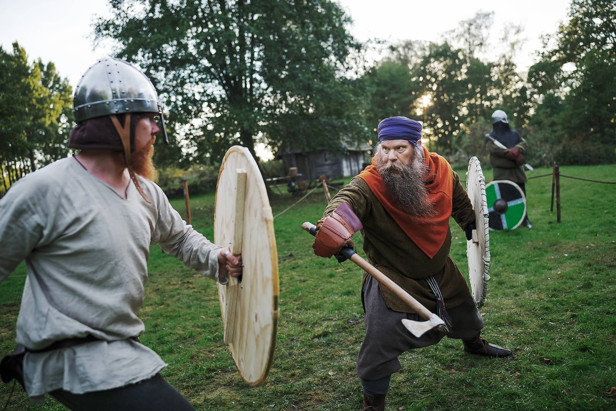 Viking-fighting-www.paulwennerholm.com-paul-wennerholm